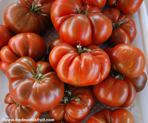 Black and Brown Boar Tomato