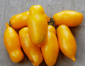 Banana Legs Tomato Seeds