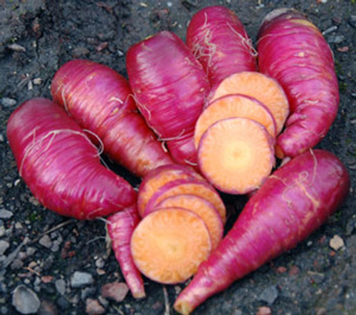 Cosmic Purple Carrot Seeds Cosmic Purple Carrot Seeds