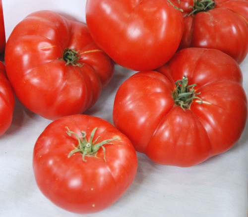 Box Car Willie Tomato Seeds