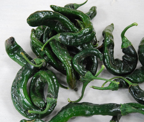 Pasilla Bajio Pepper Seeds