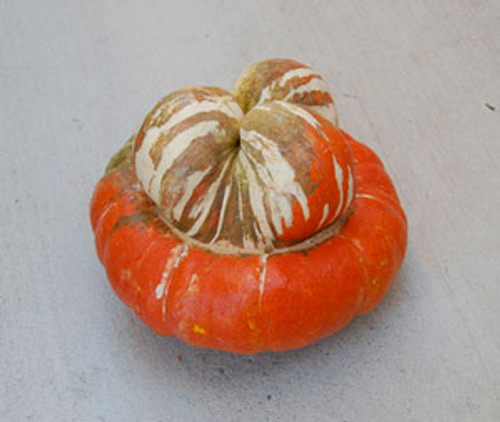 Turban Squash Seeds