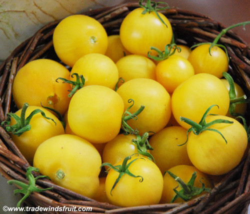 Wapsipinicon Peach Tomato Seeds