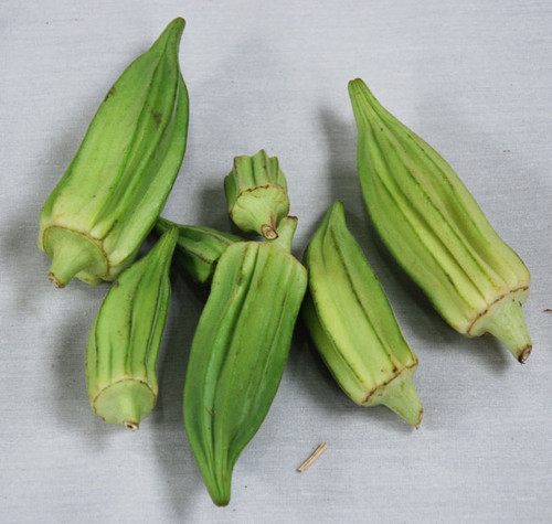 Star of David Okra Seeds