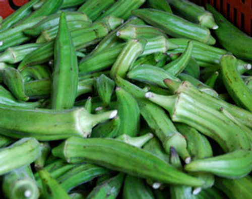 Green Velvet Okra Seeds