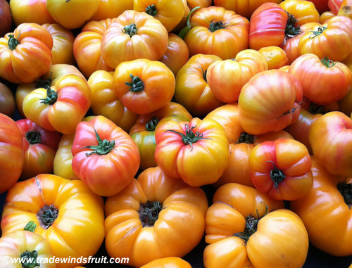 Gold Medal Tomato Seeds