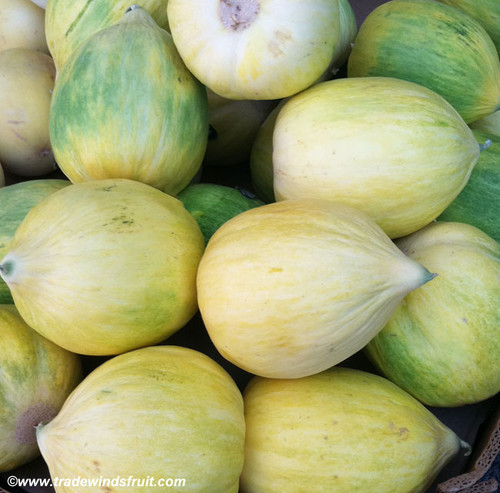 Crenshaw Melon Seeds