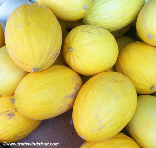 Yellow Canary Melon Seeds