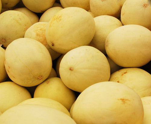 Honeydew Melon Seeds