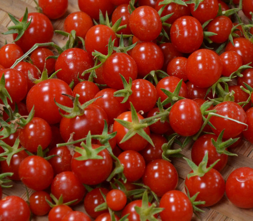 Sweet Million Tomato Seeds