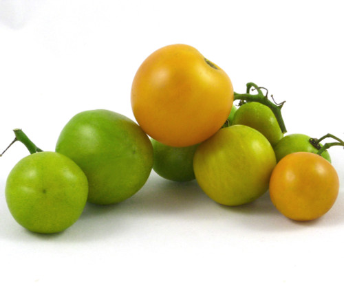 Egg Yolk Tomato Seeds