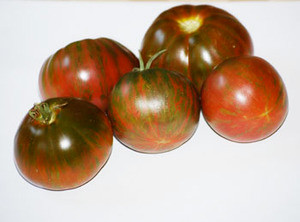 Hippie Zebra Tomato Seeds