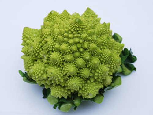 Romanesco Broccoli Seeds