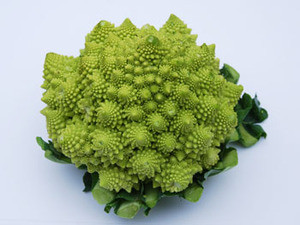 Romanesco Broccoli Seeds