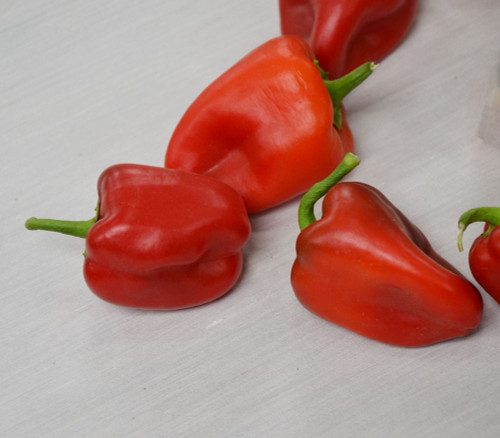 Lipstick Pepper Seeds