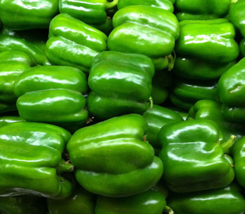 Keystone Giant Pepper Seeds Keystone Giant Pepper Seeds