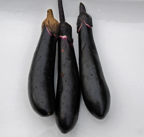 Japanese Millionaire Eggplant Seeds Japanese Millionaire Eggplant Seeds