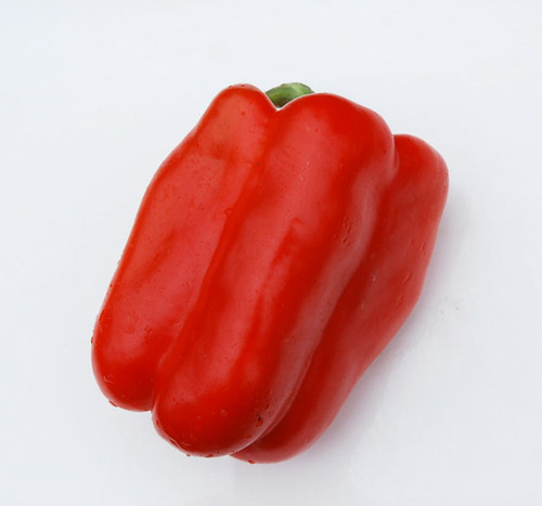 Yolo Wonder Pepper Seeds