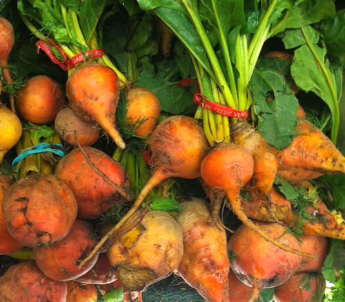 Golden Beet Seeds