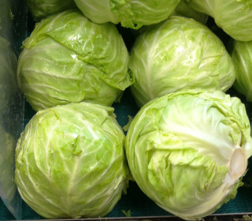 Danish Ballhead Cabbage Seeds