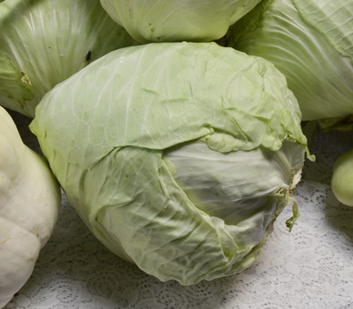 Early Jersey Wakefield Cabbage Seeds