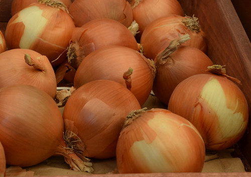 Yellow Sweet Spanish Onion Seeds