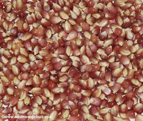 Early Pink Popcorn Seeds