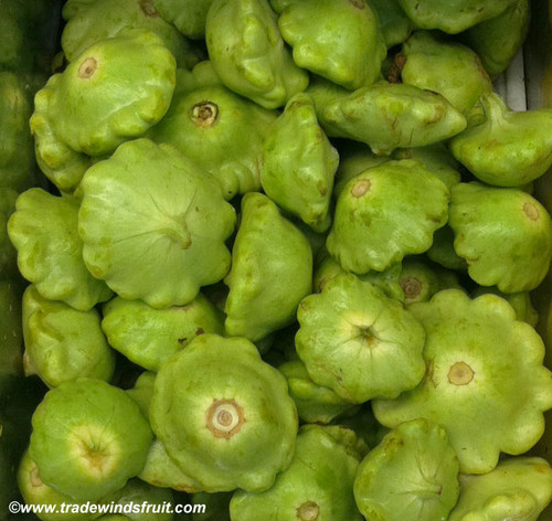 Green Tint Scallop Squash Seeds
