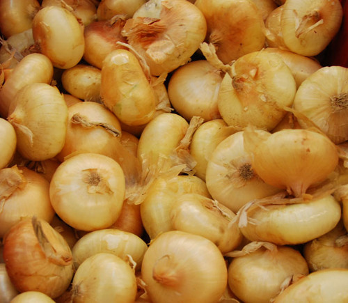 Yellow Borettana Onion Seeds