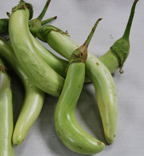 Louisiana Long Green Eggplant Seeds Louisiana Long Green Eggplant Seeds