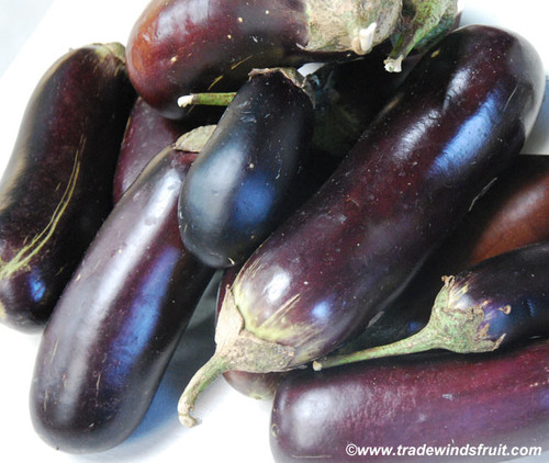 Diamond Eggplant Seeds