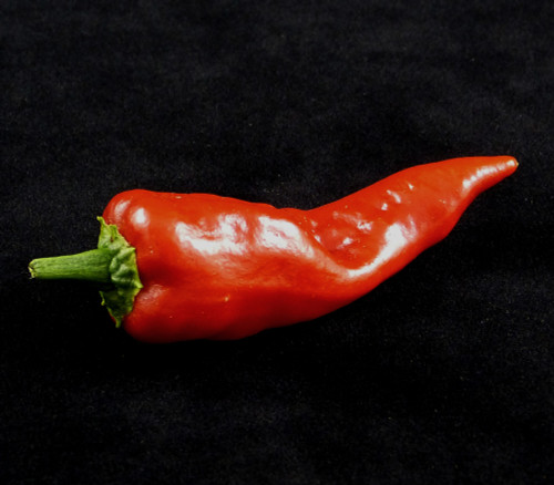 Mirasol Pepper Seeds