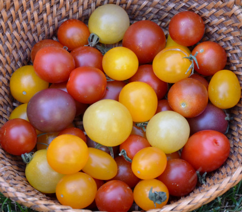 Cherry Tomato Mix Seeds