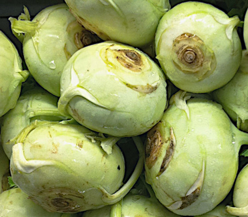 Kohlrabi Seeds Kohlrabi Seeds