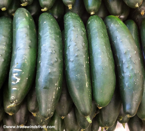 Marketer Cucumber Seeds
