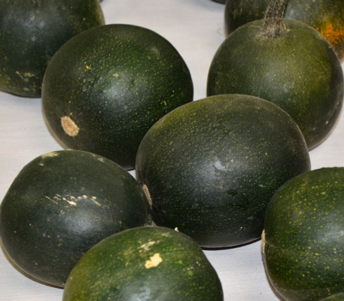 Eight Ball Squash Seeds