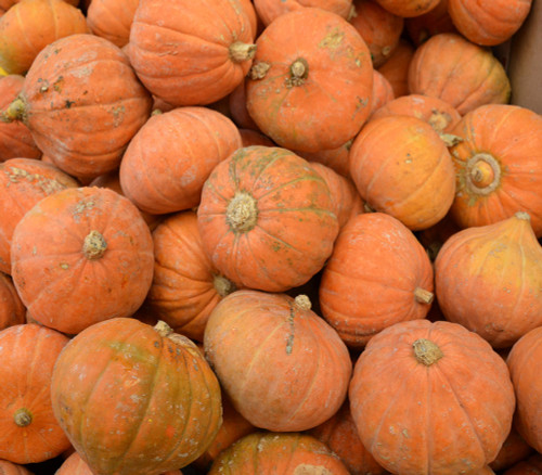 Gold Nugget Squash Seeds