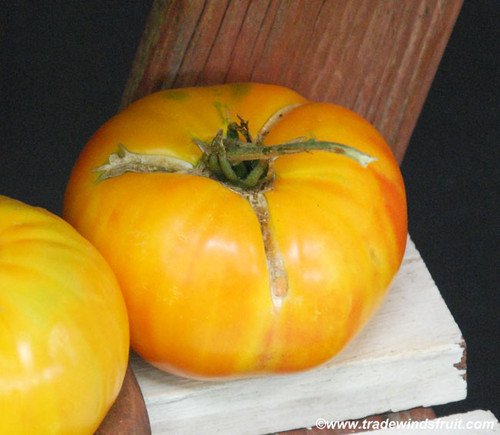 Old German Tomato Seeds
