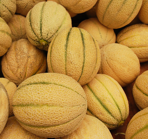 Iroquois Melon Seeds