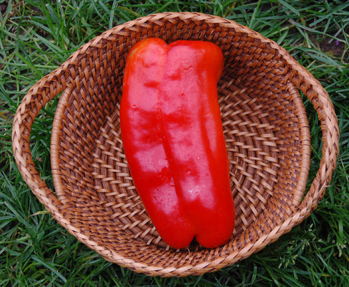 Big Bertha Hybrid Pepper Seeds