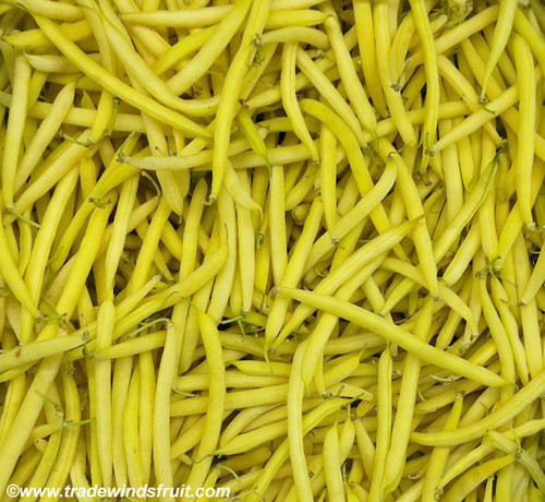Gold Rush Yellow Bean Seeds