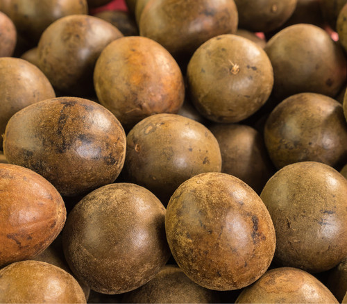 Momordica grosvenorii - Buddha Fruit Seeds