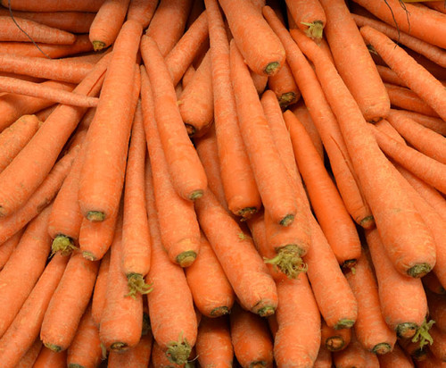 Tendersweet Carrot Seeds