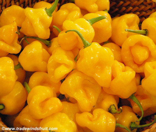 Trinidad Perfume Pepper Seeds