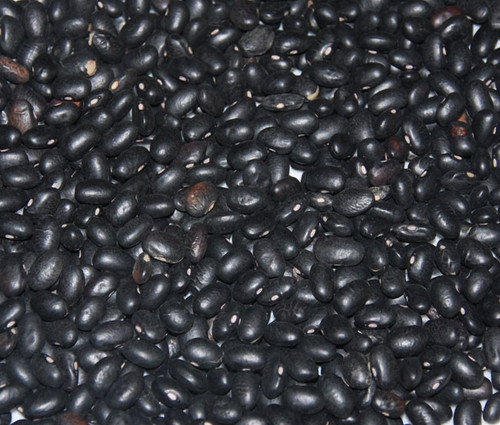 Black Turtle Bean Seeds