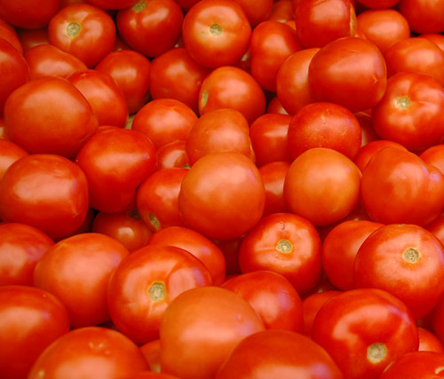 New Yorker Tomato Seeds