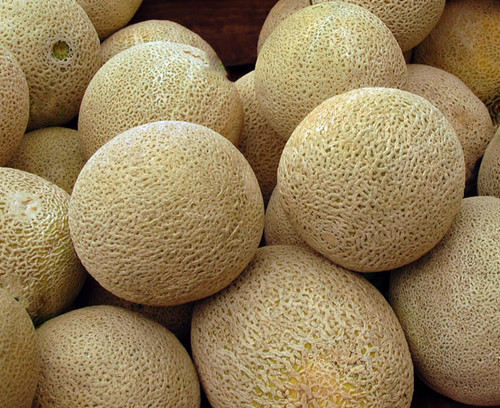 Honey Rock Melon Seeds