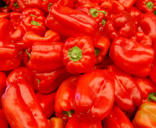 King of the North Pepper Seeds