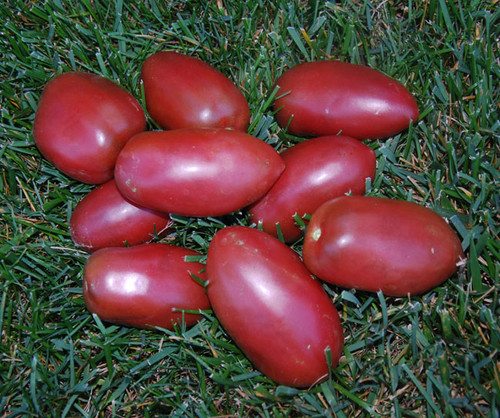 Black Emperor Tomato