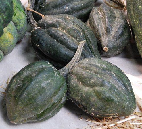Table Queen Acorn Squash Seeds
